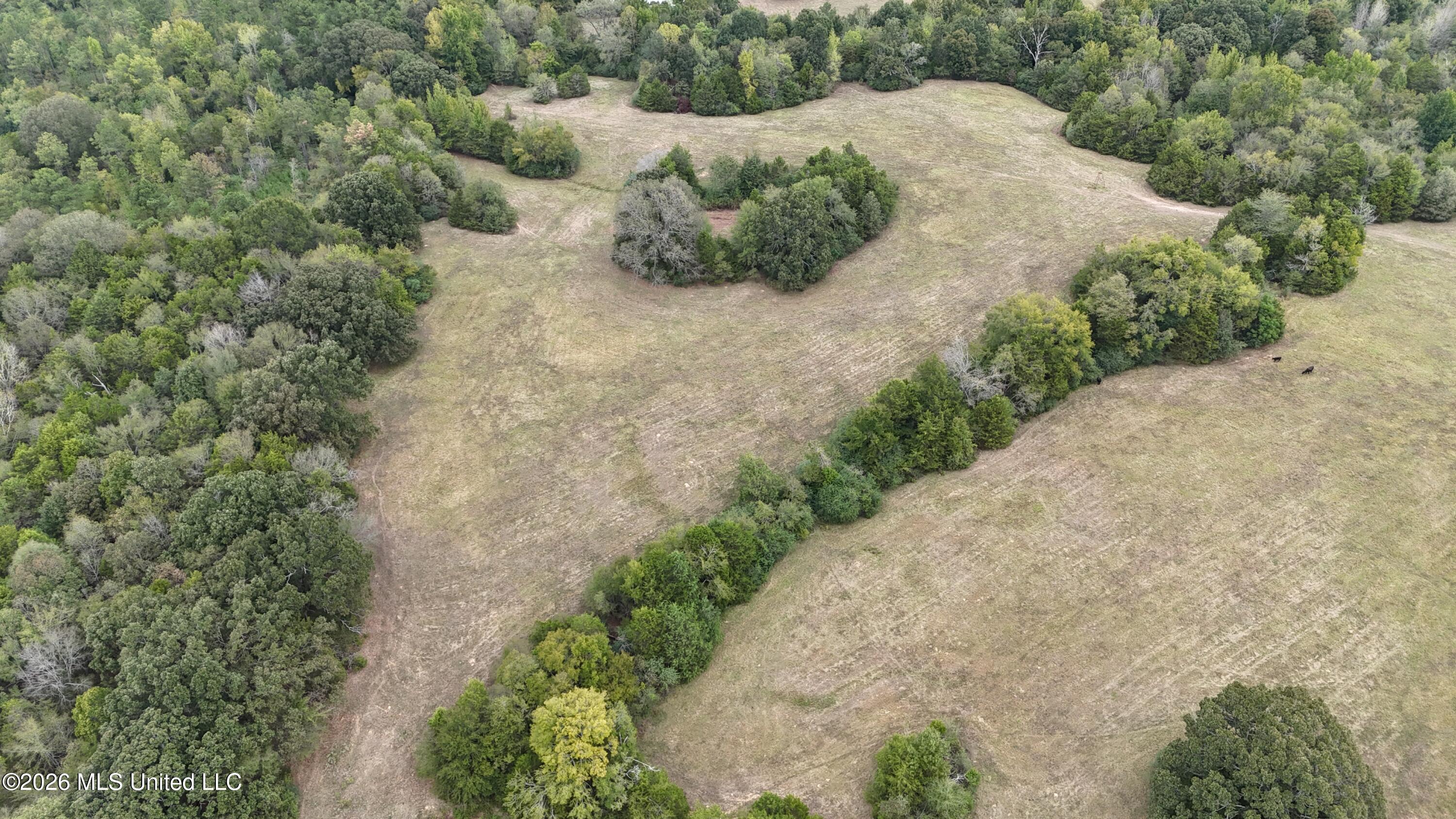 11.26 Bub Jamison Road Coldwater, MS 38618 - Photo 14 of 16 DJI_20260924115500_0093_D