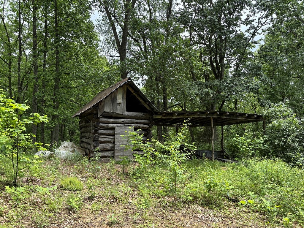 3195 Osborne Mountain Road Raven, VA 24639 - Photo 22 of 31 Gallery Image 22