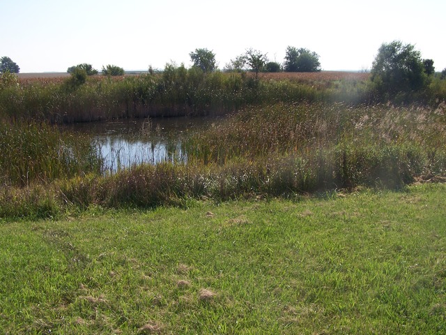 3752 Wesley Freebairn Road Ottawa, IL 61350 - Photo 2 of 19