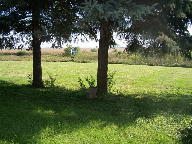 3752 Wesley Freebairn Road Ottawa, IL 61350 - Photo 15 of 19