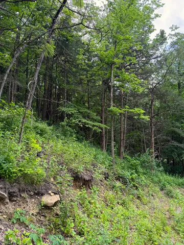 $89,500 | W12412 Highway 35, Stockholm, WI 54769