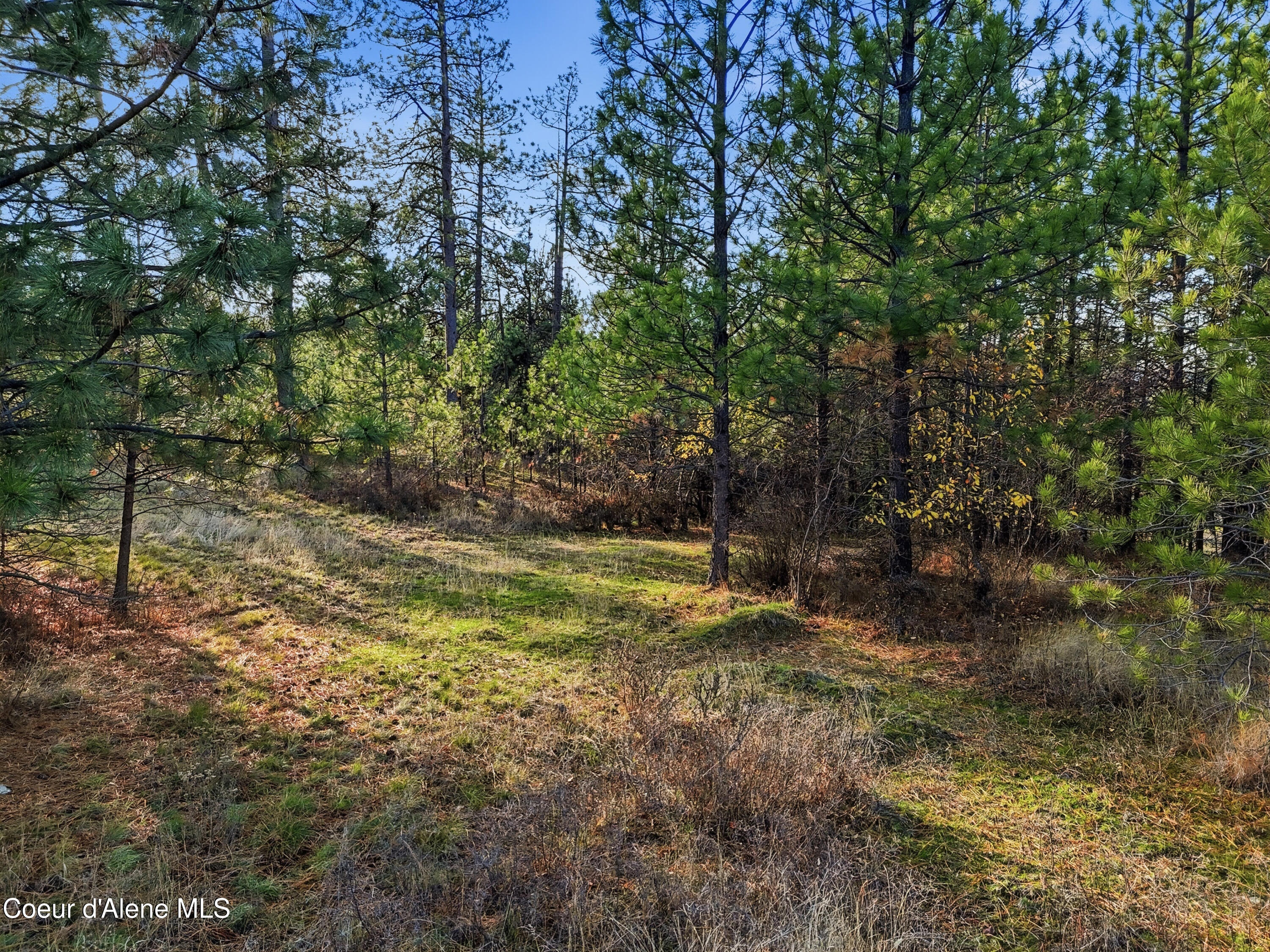 Nna West Treend Road Post Falls, ID 83854 - Photo 12 of 15 Inside-Media-NA Post Falls-10
