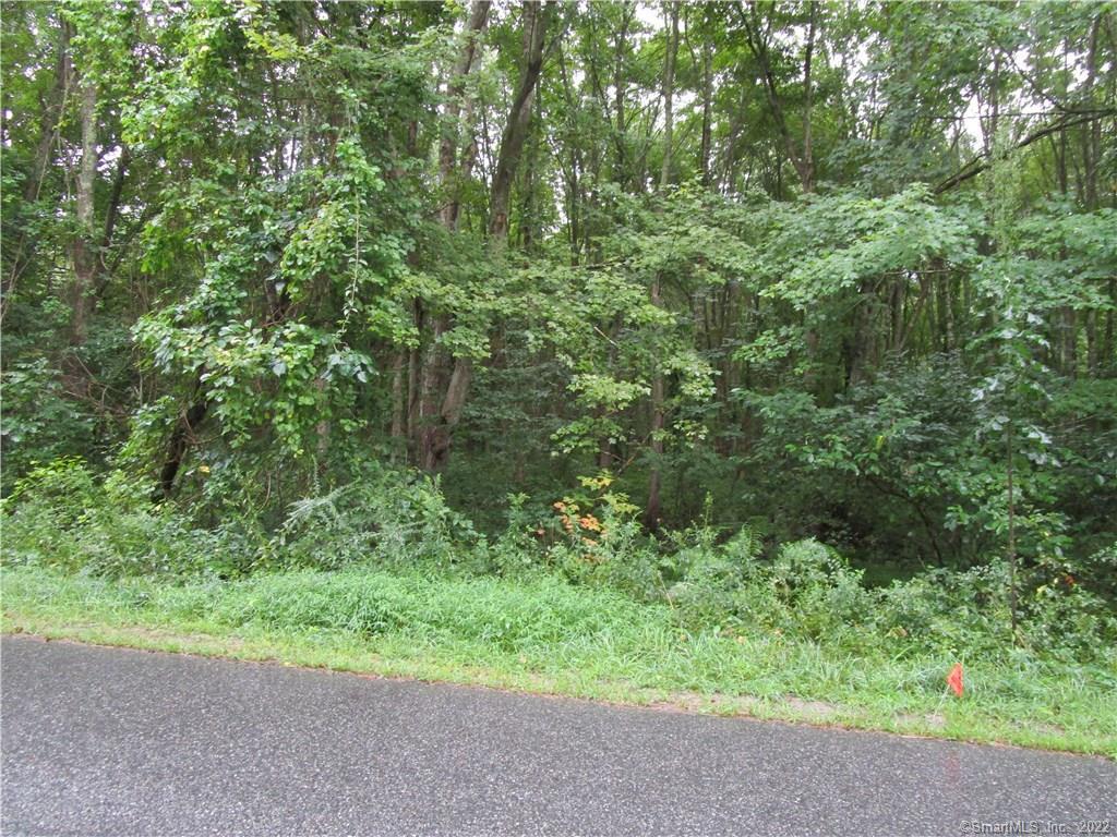 0 Raymond Schoolhouse Road Canterbury, CT 06331 - Photo 1 of 1