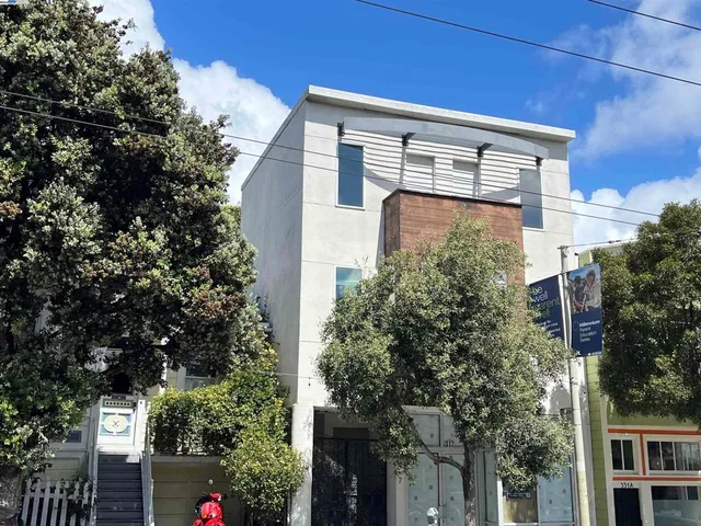 a front view of a house with a tree