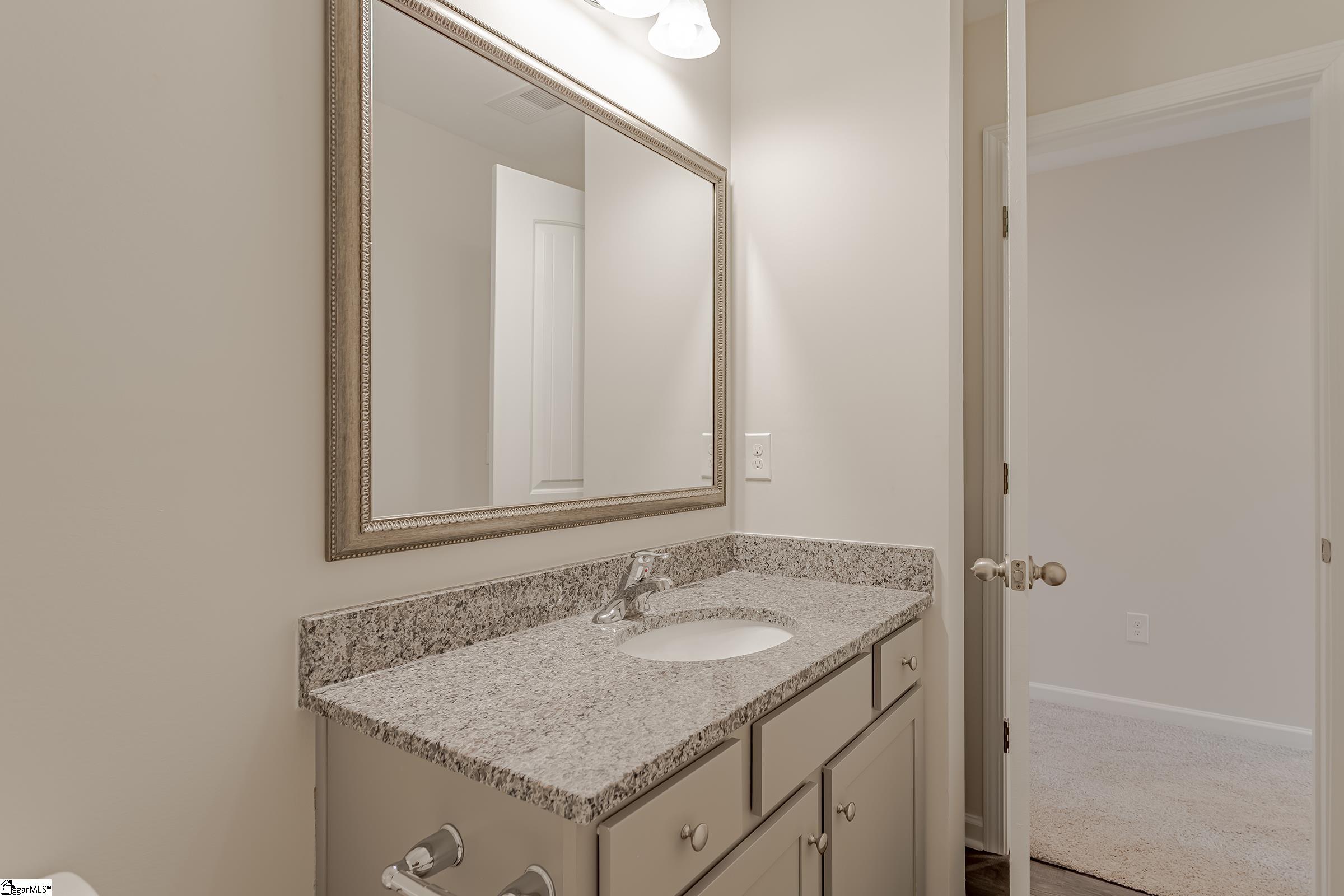 8 Sabine Leaf Court Greer, SC 29650 - Photo 8 of 22