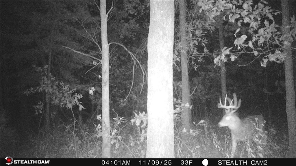12307 Crescent Road Gilman City, MO 64642 - Photo 55 of 63