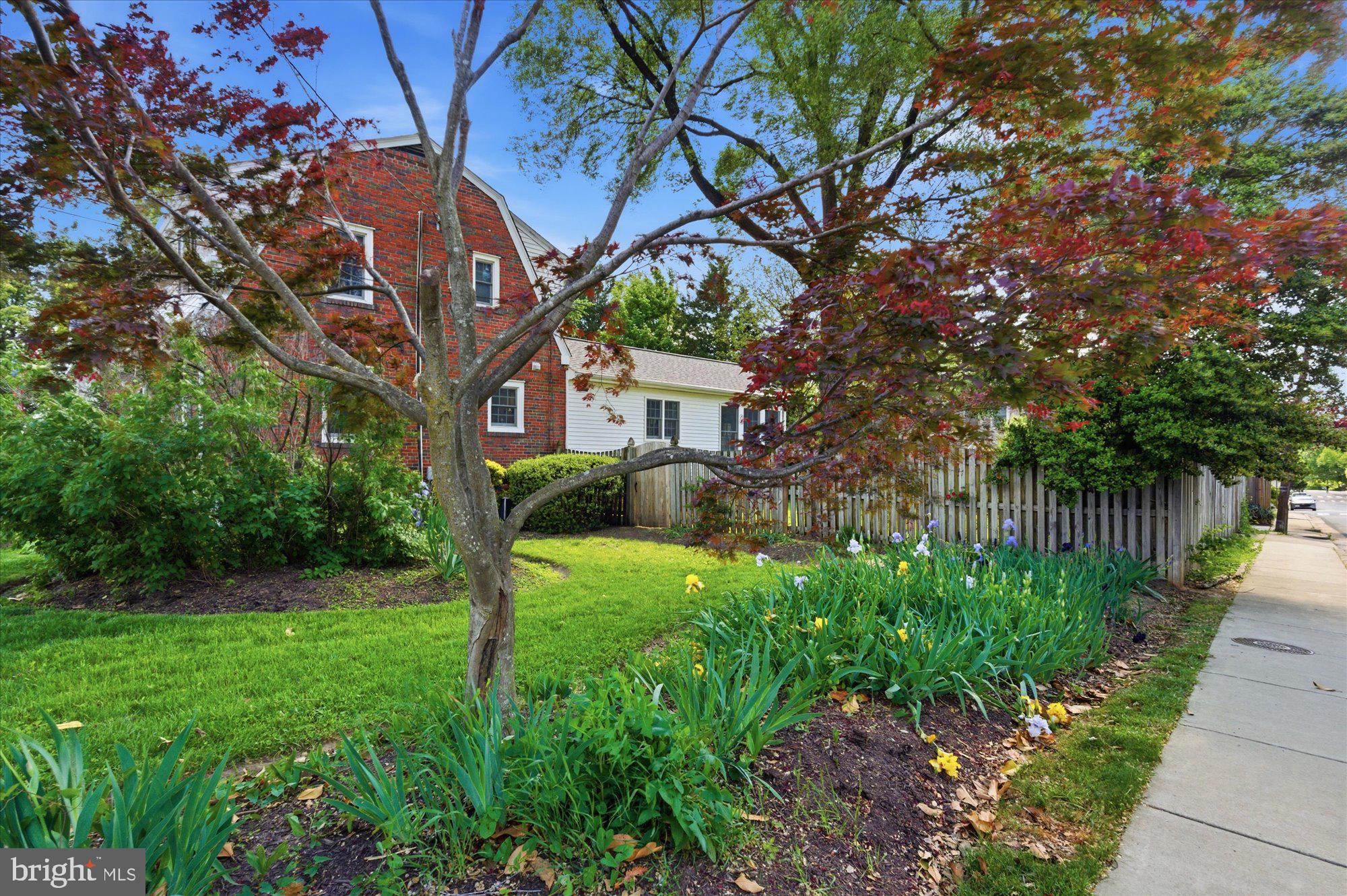 2434 Cameron Mills Road Alexandria, VA 22302 - Photo 49 of 51