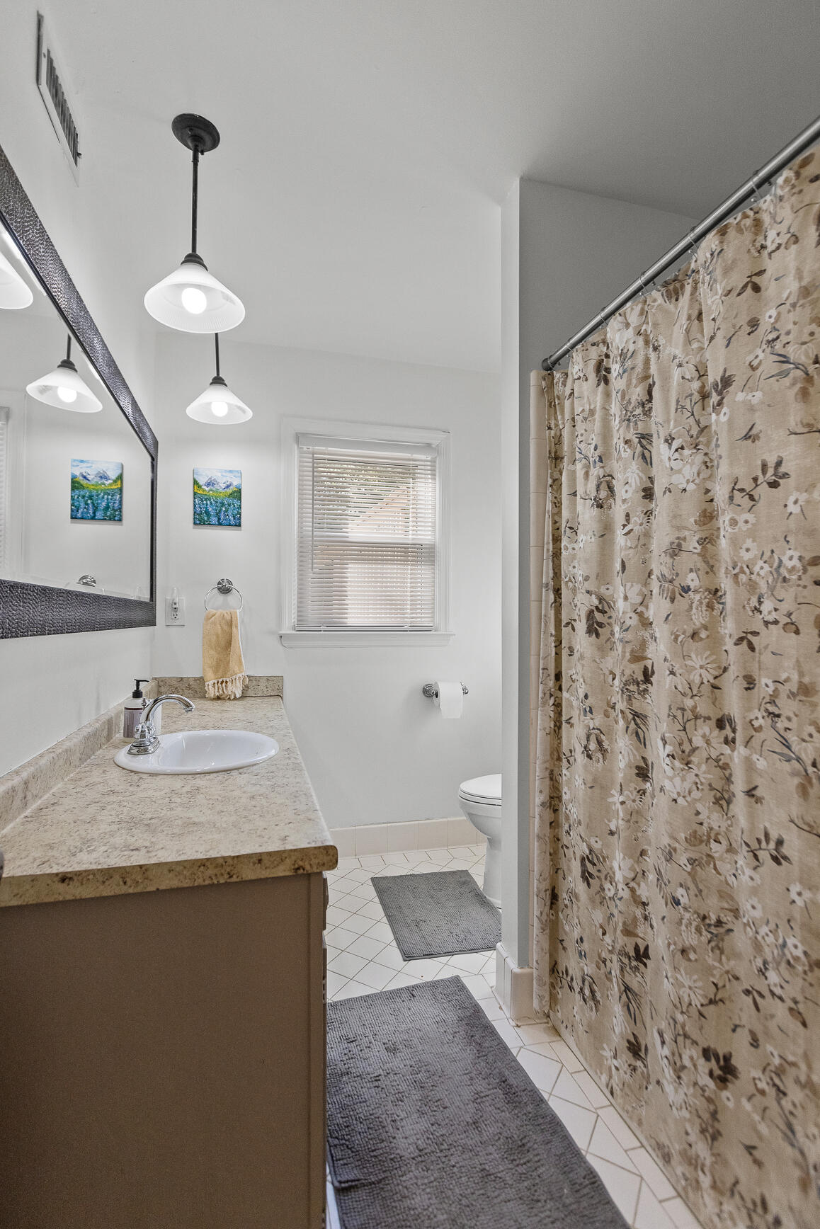 398 Shallowford Road Chattanooga, TN 37411 - Photo 37 of 47 Downstairs full bath