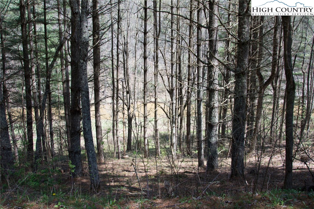 Lot 48 River Hills Road Lansing, NC 28643 - Photo 3 of 9