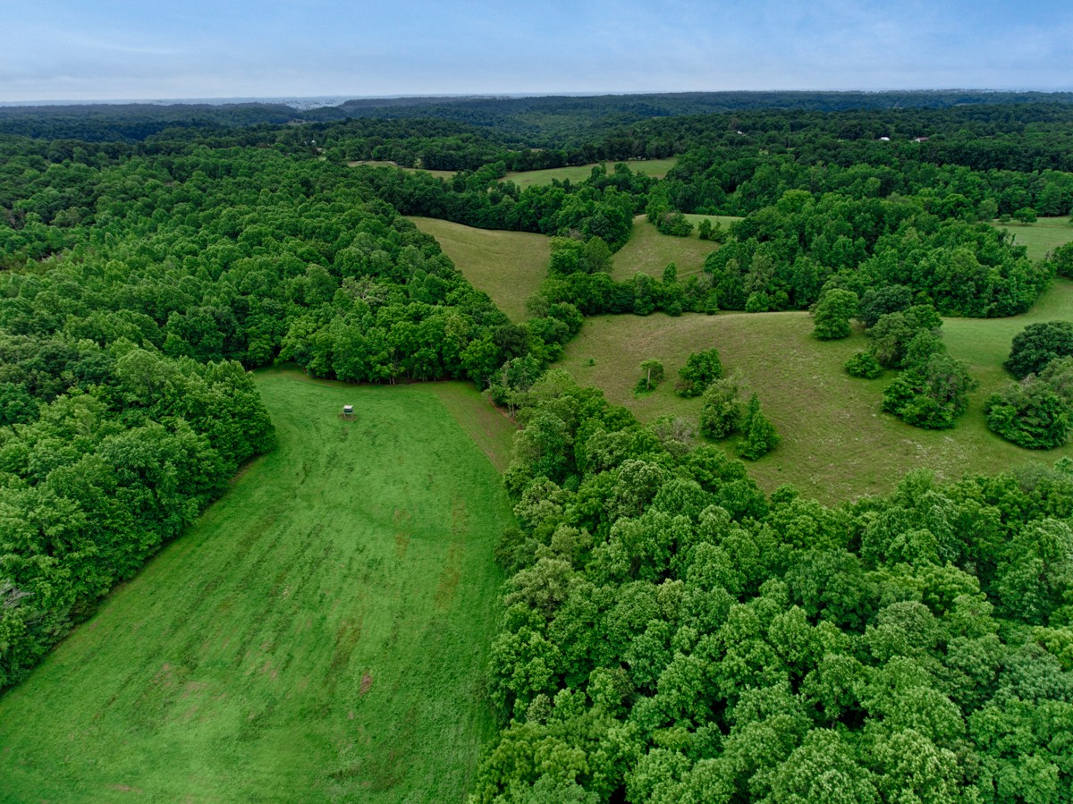 111 Sumac Road Pulaski, TN 38478 - Photo 1 of 19 a view of a lush green outdoor space with a lake view