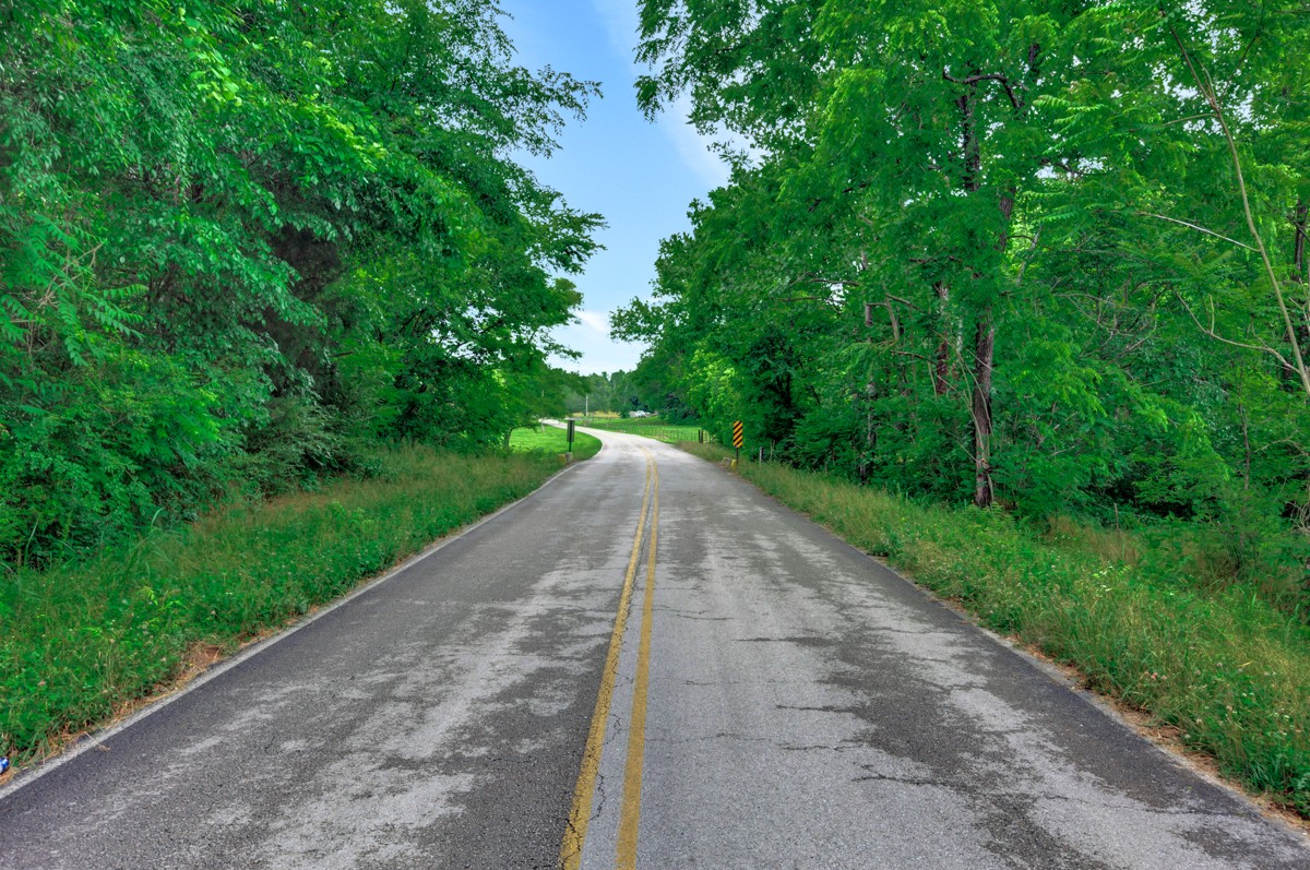 111 Sumac Road Pulaski, TN 38478 - Photo 11 of 19 a view of a street with a yard and large trees