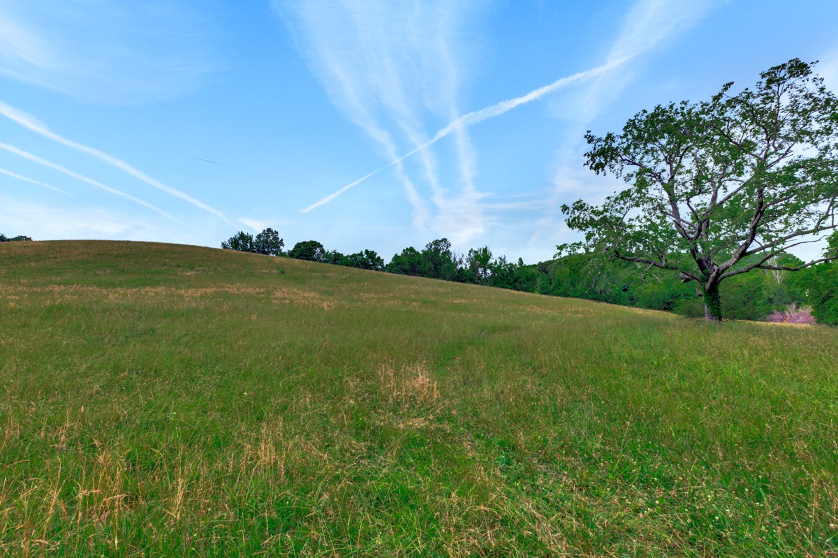111 Sumac Road Pulaski, TN 38478 - Photo 12 of 19 a view of a field with an ocean
