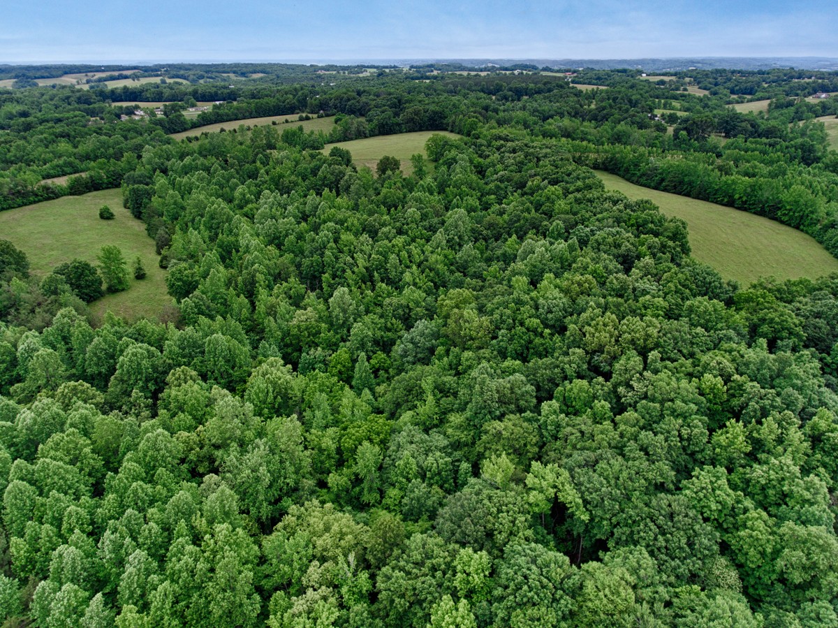 111 Sumac Road Pulaski, TN 38478 - Photo 15 of 19 an aerial view of a houses with a yard