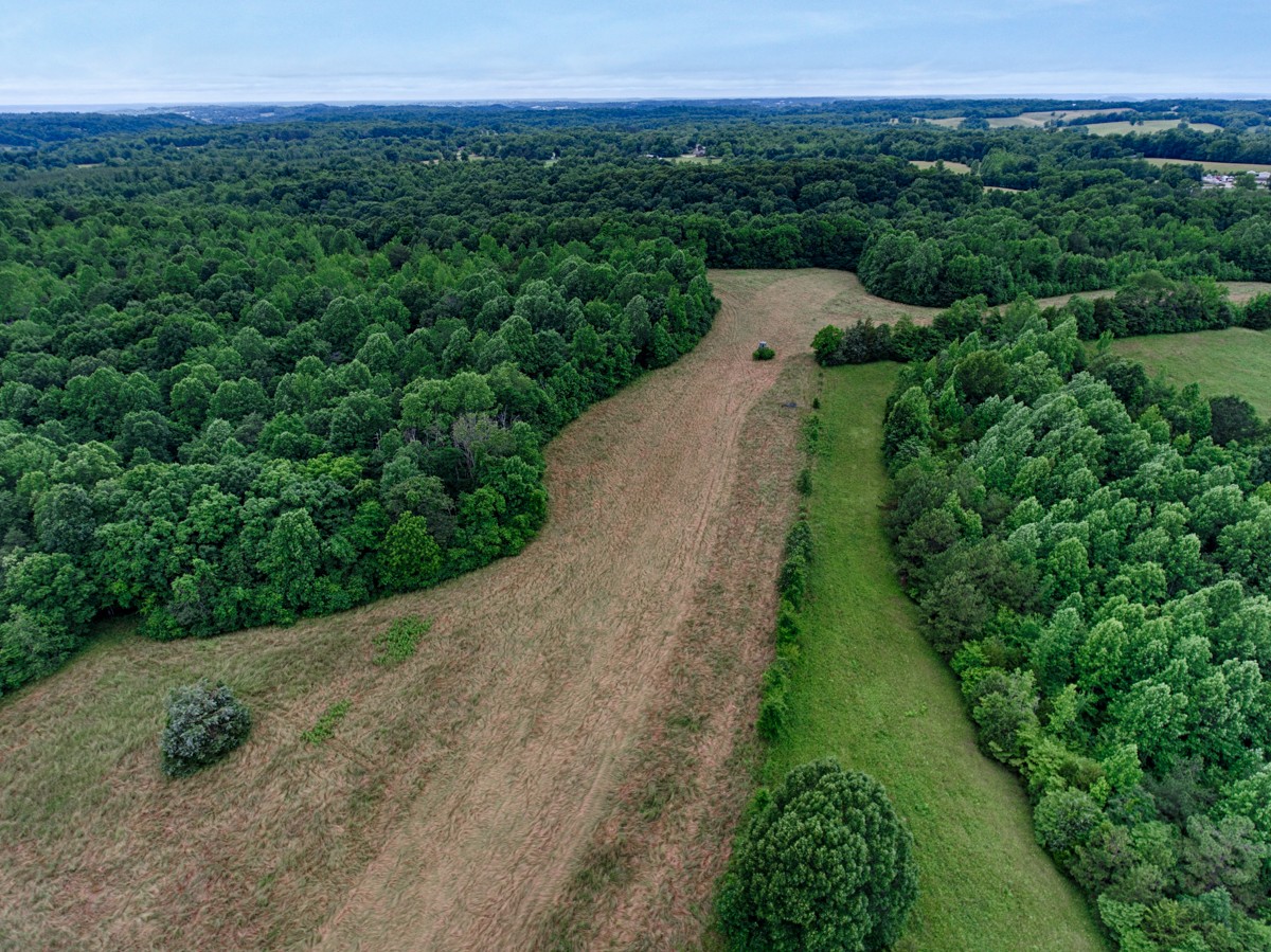 111 Sumac Road Pulaski, TN 38478 - Photo 16 of 19 a view of a pathway with a field