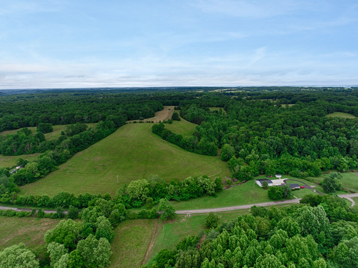 111 Sumac Road Pulaski, TN 38478 - Photo 18 of 19 a view of a green field with lots of green space