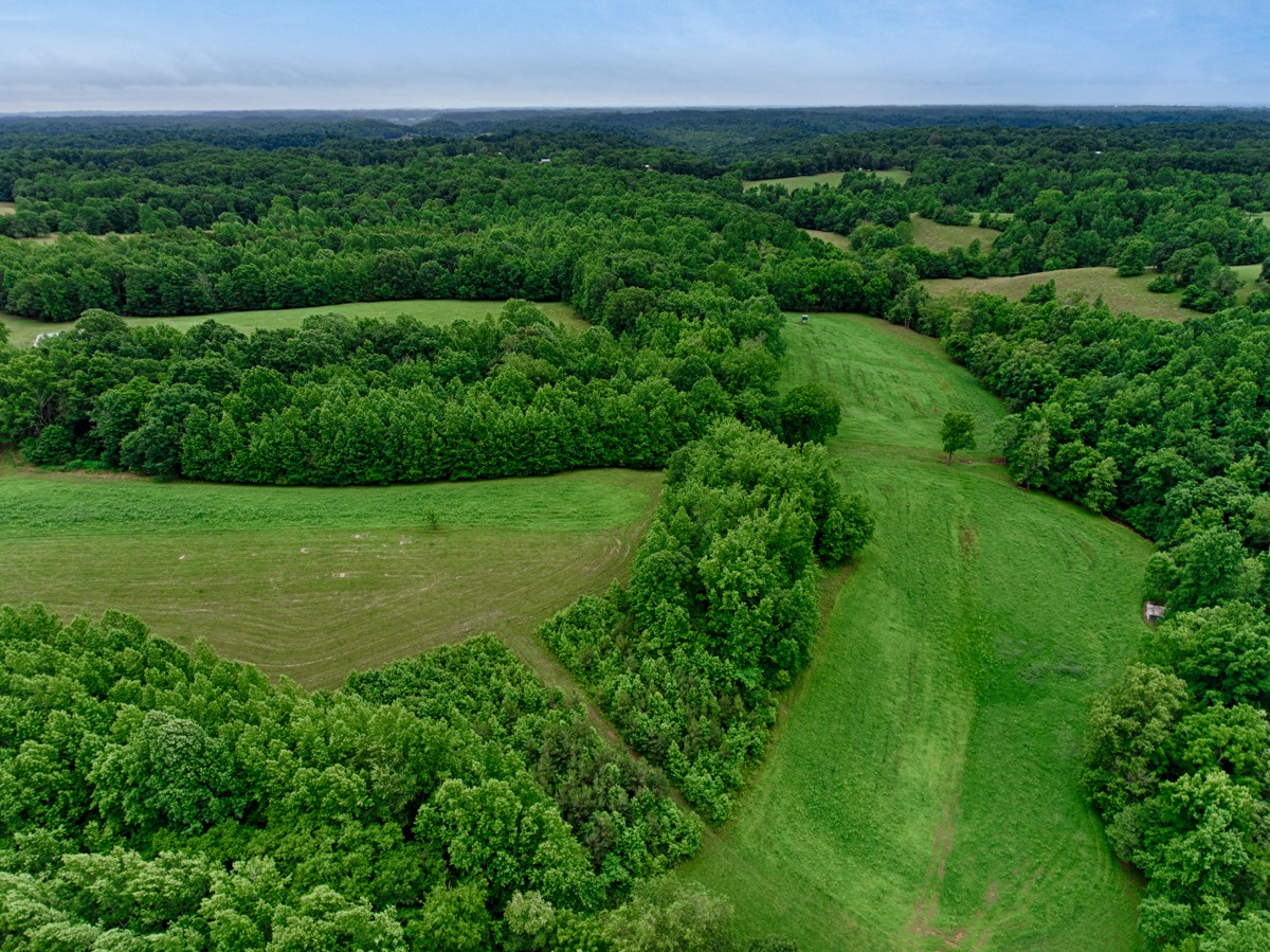 111 Sumac Road Pulaski, TN 38478 - Photo 19 of 19 a view of a lush green field with a view of mountains