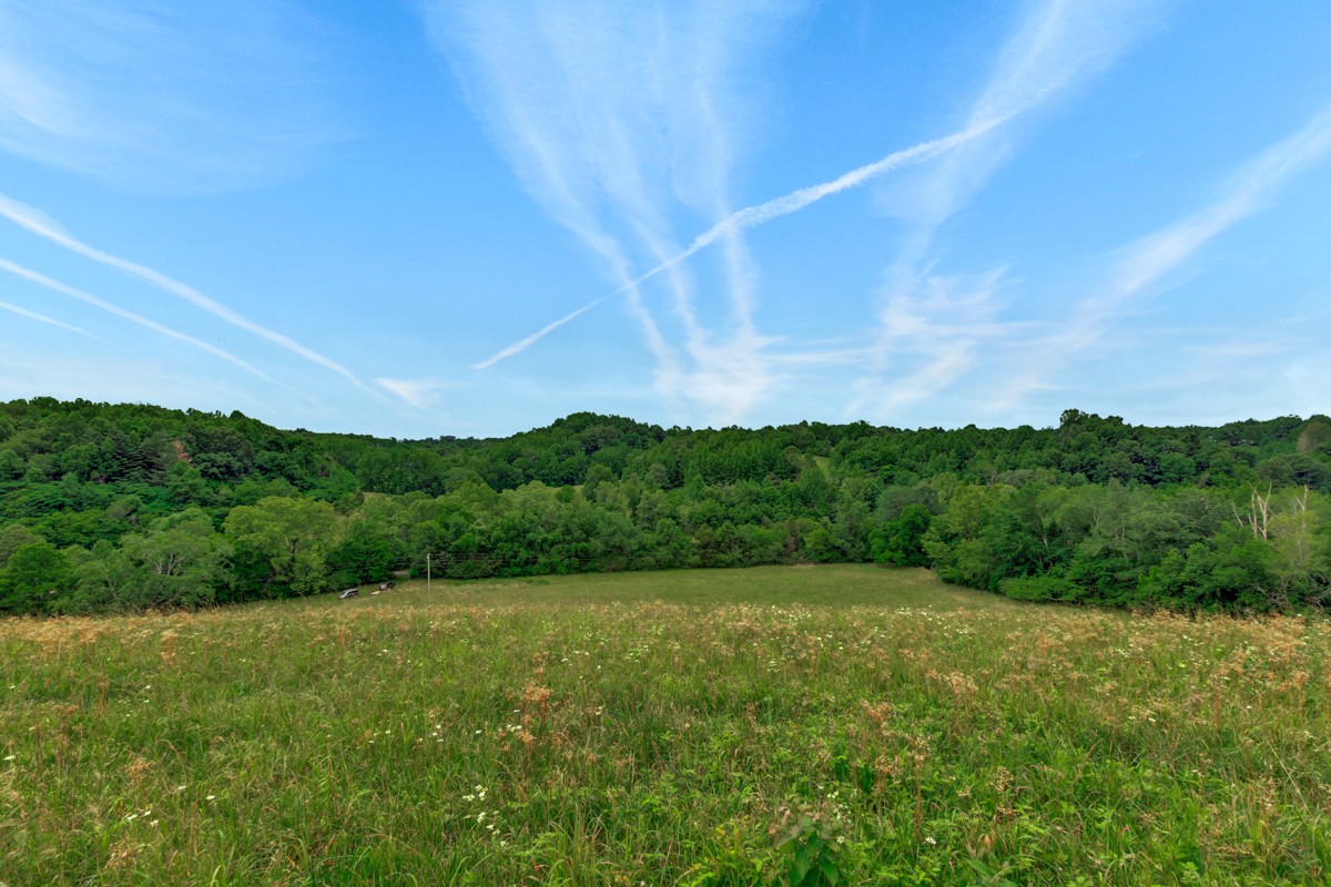 111 Sumac Road Pulaski, TN 38478 - Photo 2 of 19 a view of a lush green forest