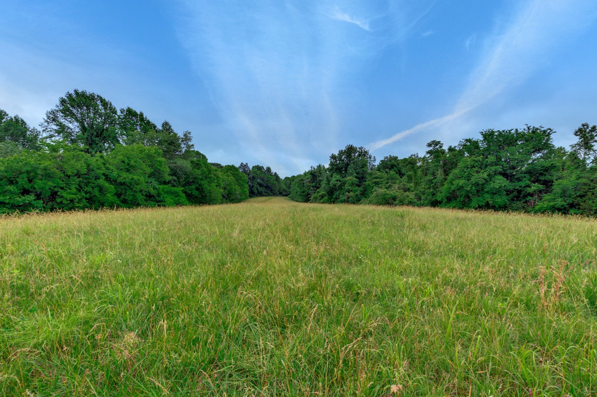111 Sumac Road Pulaski, TN 38478 - Photo 5 of 19 a view of a garden with a lake
