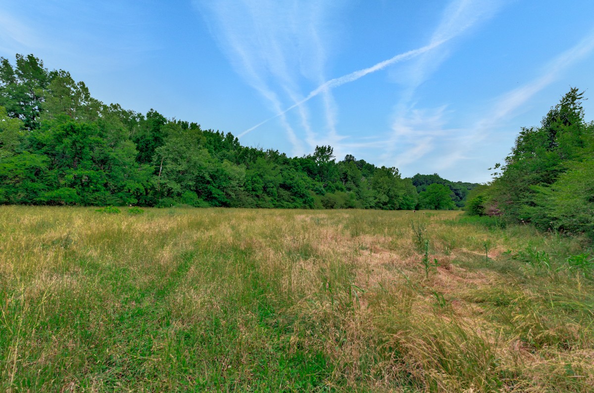 111 Sumac Road Pulaski, TN 38478 - Photo 6 of 19 a view of a lake with houses in the back