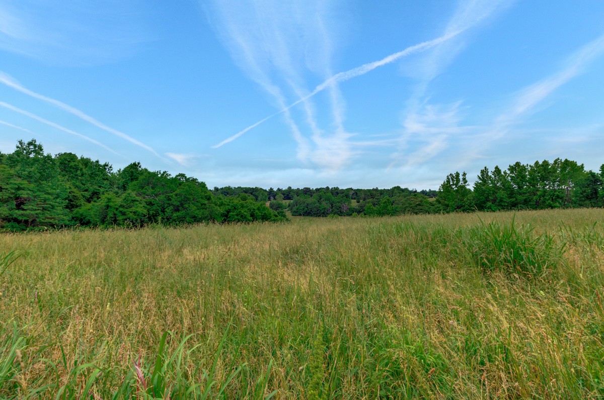 111 Sumac Road Pulaski, TN 38478 - Photo 7 of 19 a view of lake with green space