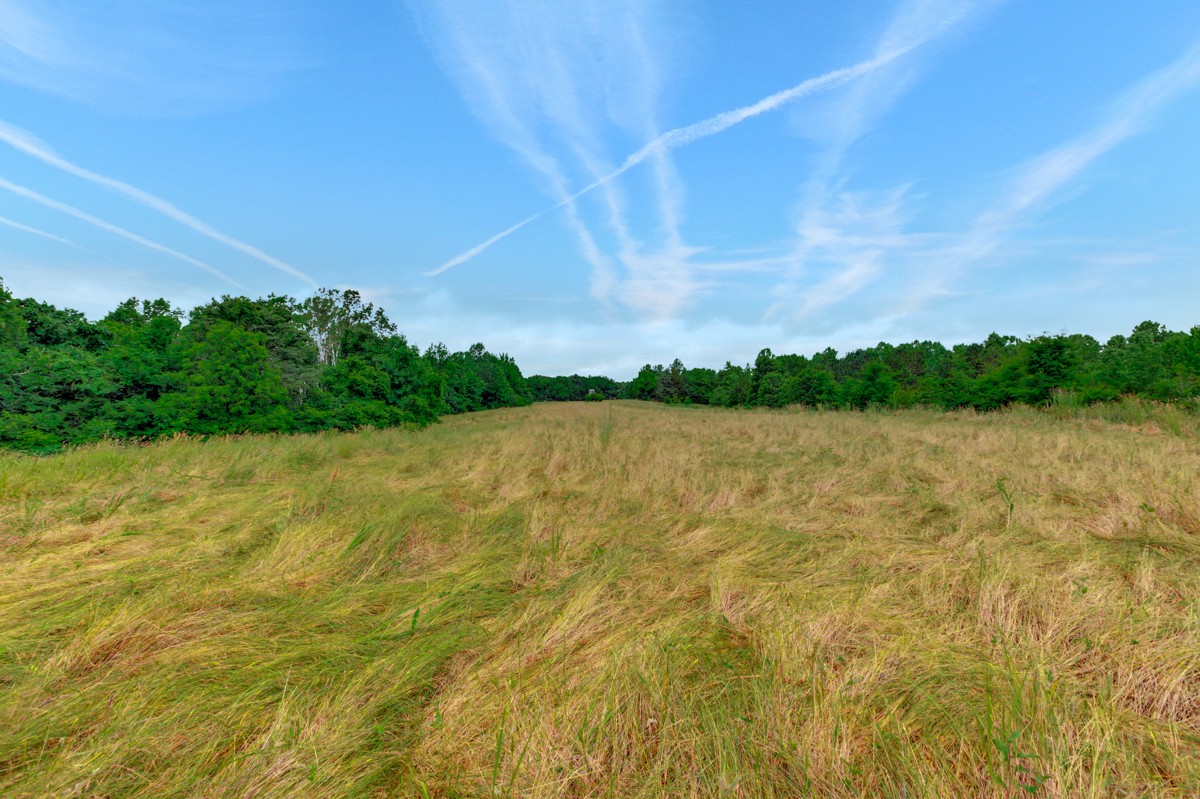 111 Sumac Road Pulaski, TN 38478 - Photo 8 of 19 a view of a lake view