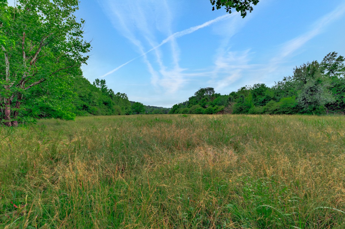 111 Sumac Road Pulaski, TN 38478 - Photo 9 of 19 a view of a lake with a yard