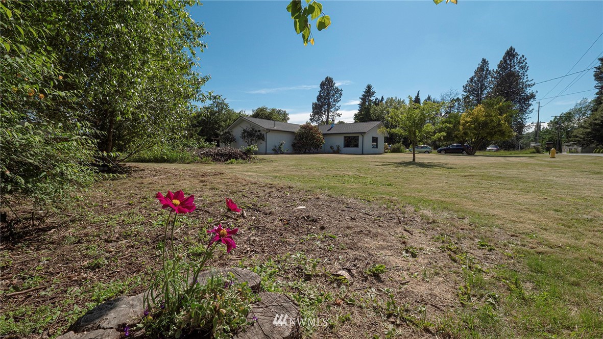 1849 Trigg Road Ferndale, WA 98248 - Photo 3 of 38 a view of a backyard