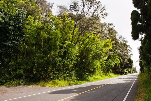 19-3964 Old Volcano Road Volcano, HI 96785 - Photo 14 of 16