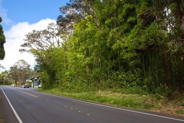 19-3964 Old Volcano Road Volcano, HI 96785 - Photo 15 of 16
