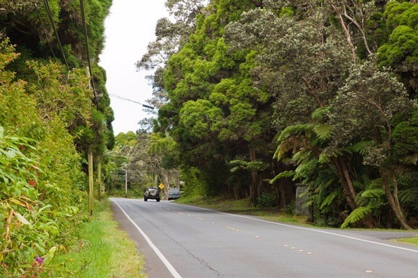 19-3964 Old Volcano Road Volcano, HI 96785 - Photo 16 of 16