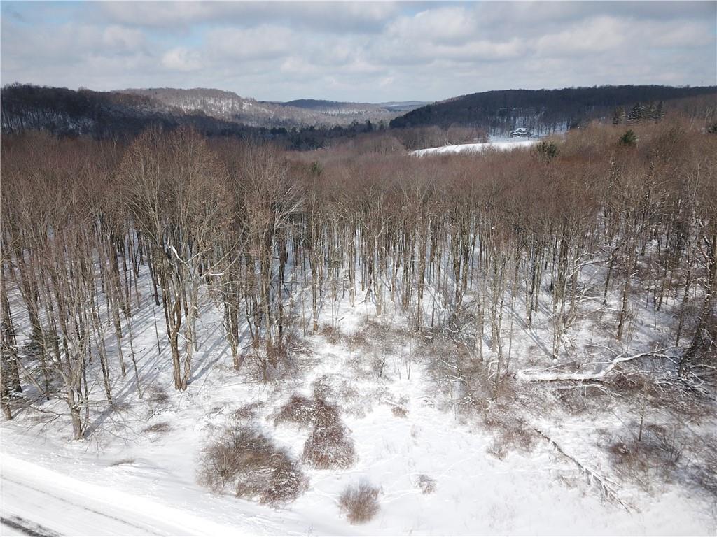 0 Wilgus Road Hillsdale, PA 15746 - Photo 24 of 27