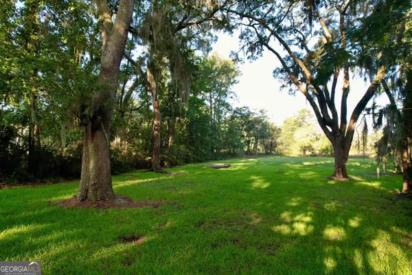 a view of a backyard with large trees