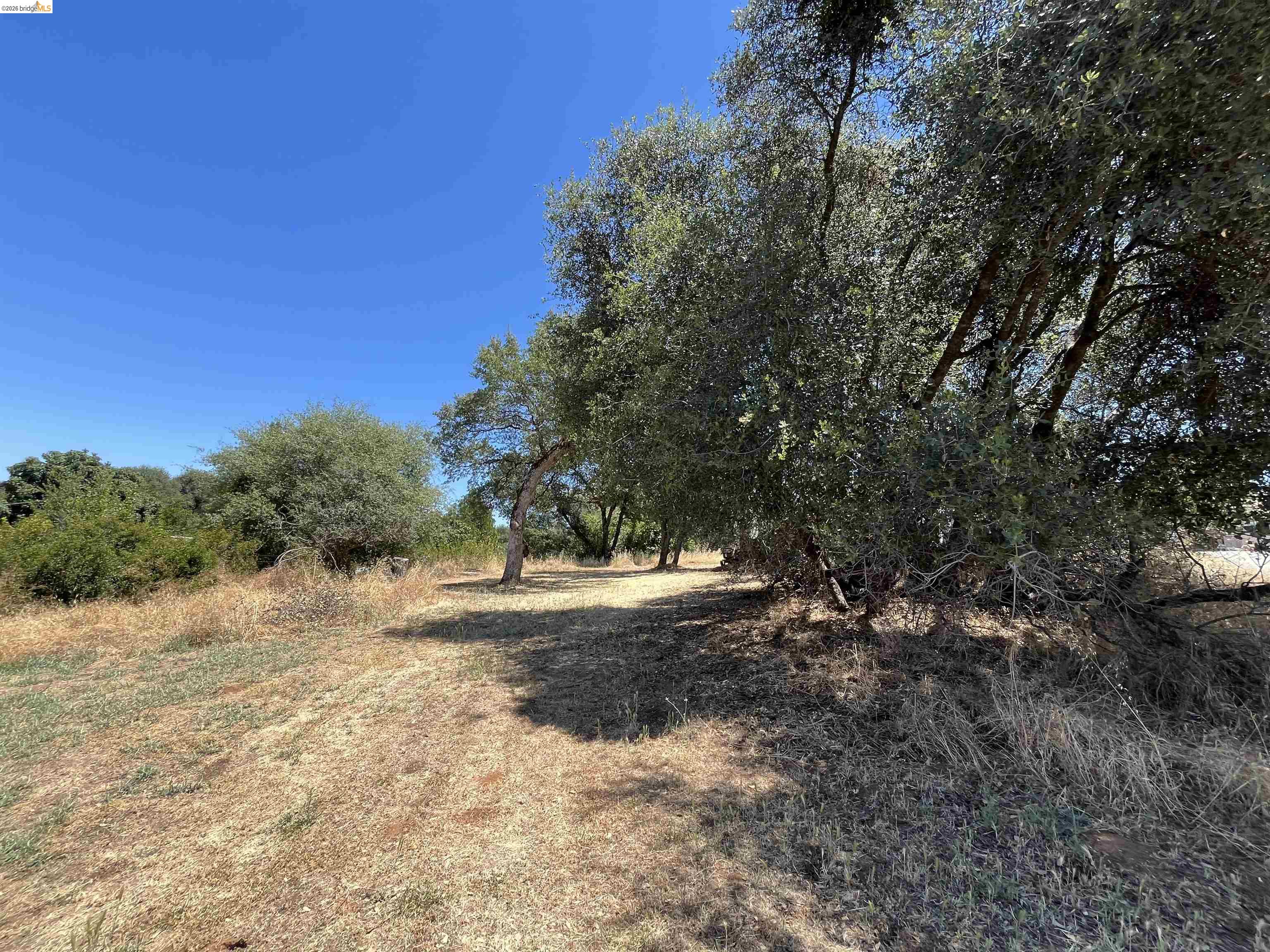 18195 Wards Ferry Road Sonora, CA 95370 - Photo 46 of 67 Expansive undeveloped land featuring mature trees and natural vegetation
