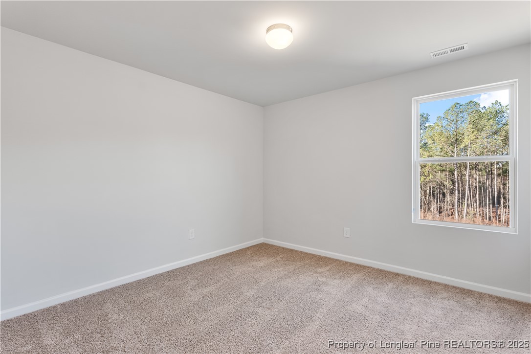 433 Deep River Road Aberdeen, NC 28315 - Photo 19 of 28