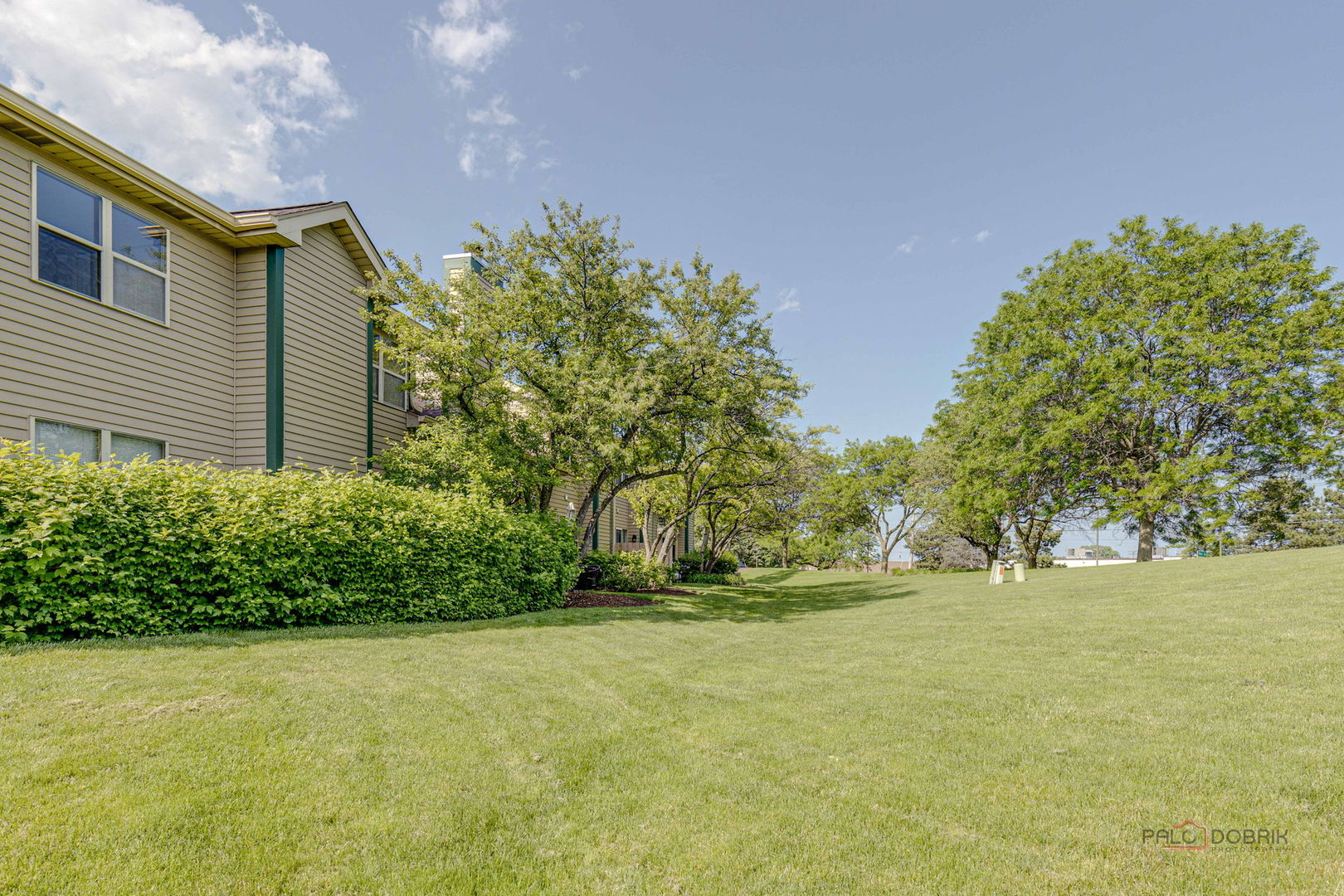925 Ridgefield Lane Wheeling, IL 60090 - Photo 24 of 25 a backyard of a house with lots of green space and plants