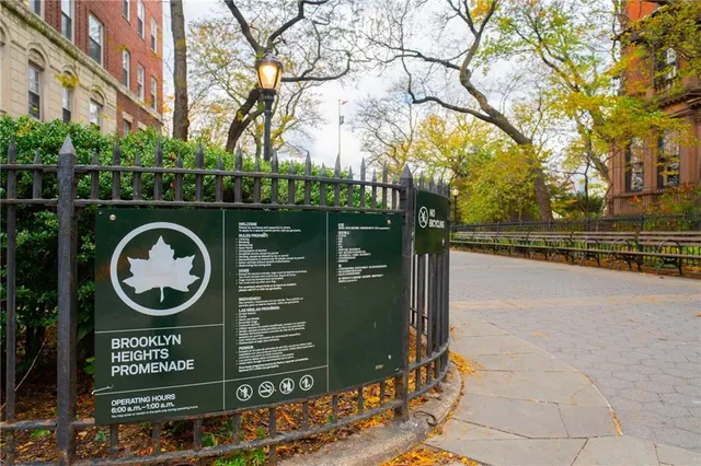 a view of a street sign under a large tree