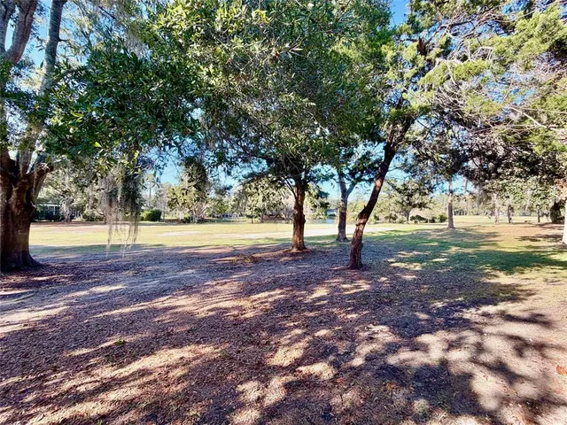 a view of yard with trees
