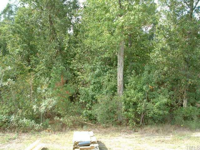 12 North Rippling Court Smithfield, NC 27577 - Photo 6 of 6 Other