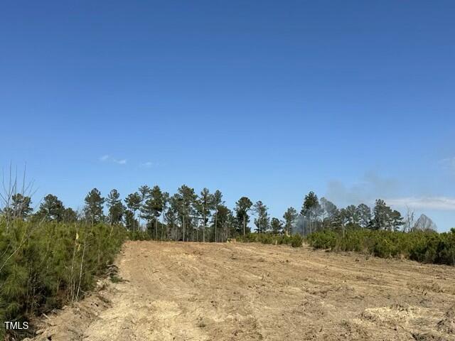 Lot 13 Good Shepherd Trail Spring Spring Hope, NC 27882 - Photo 5 of 12 a view of a beach with a yard