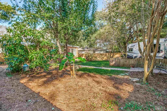 a view of a house with backyard and a tree