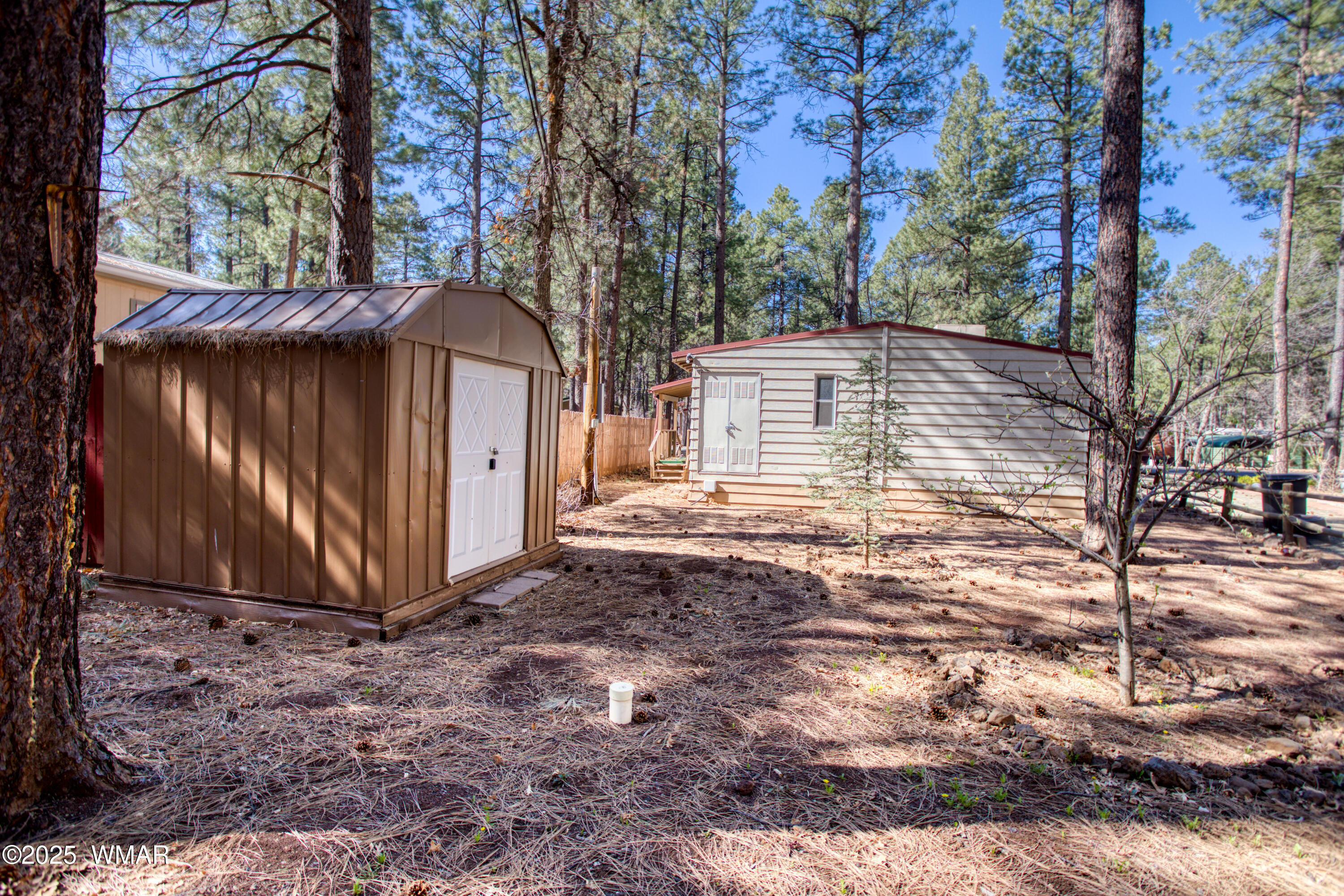 5220 South Blue Ridge Loop Pinetop, AZ 85935 - Photo 20 of 54 21 STORAGE