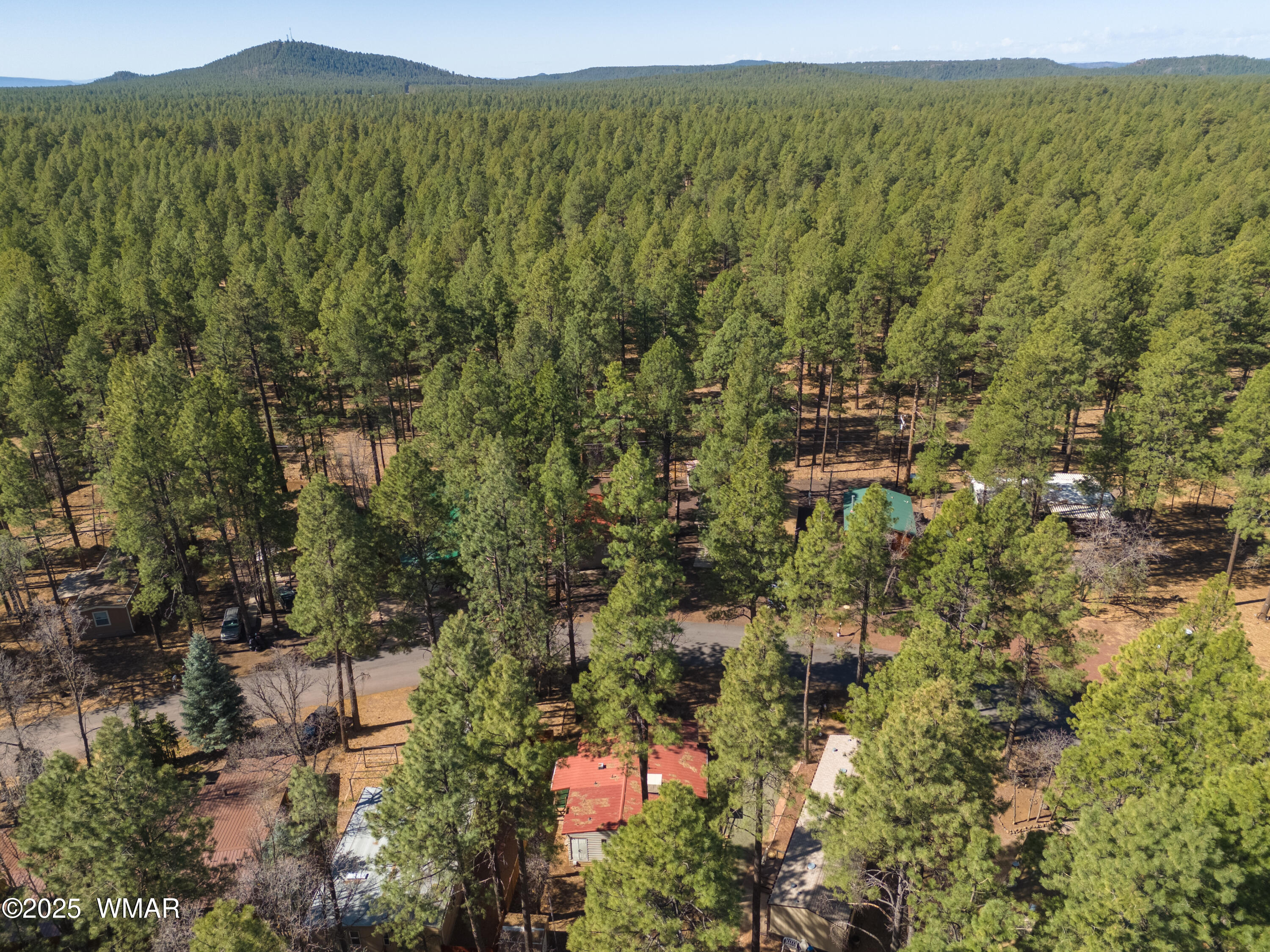5220 South Blue Ridge Loop Pinetop, AZ 85935 - Photo 22 of 54 23 DRONE