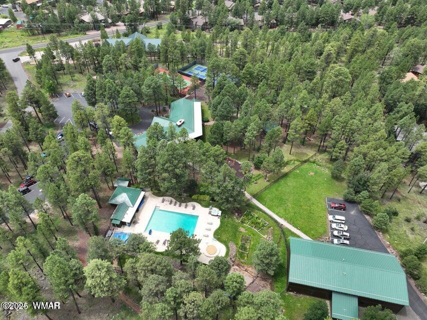 5220 South Blue Ridge Loop Pinetop, AZ 85935 - Photo 26 of 54 Overhead