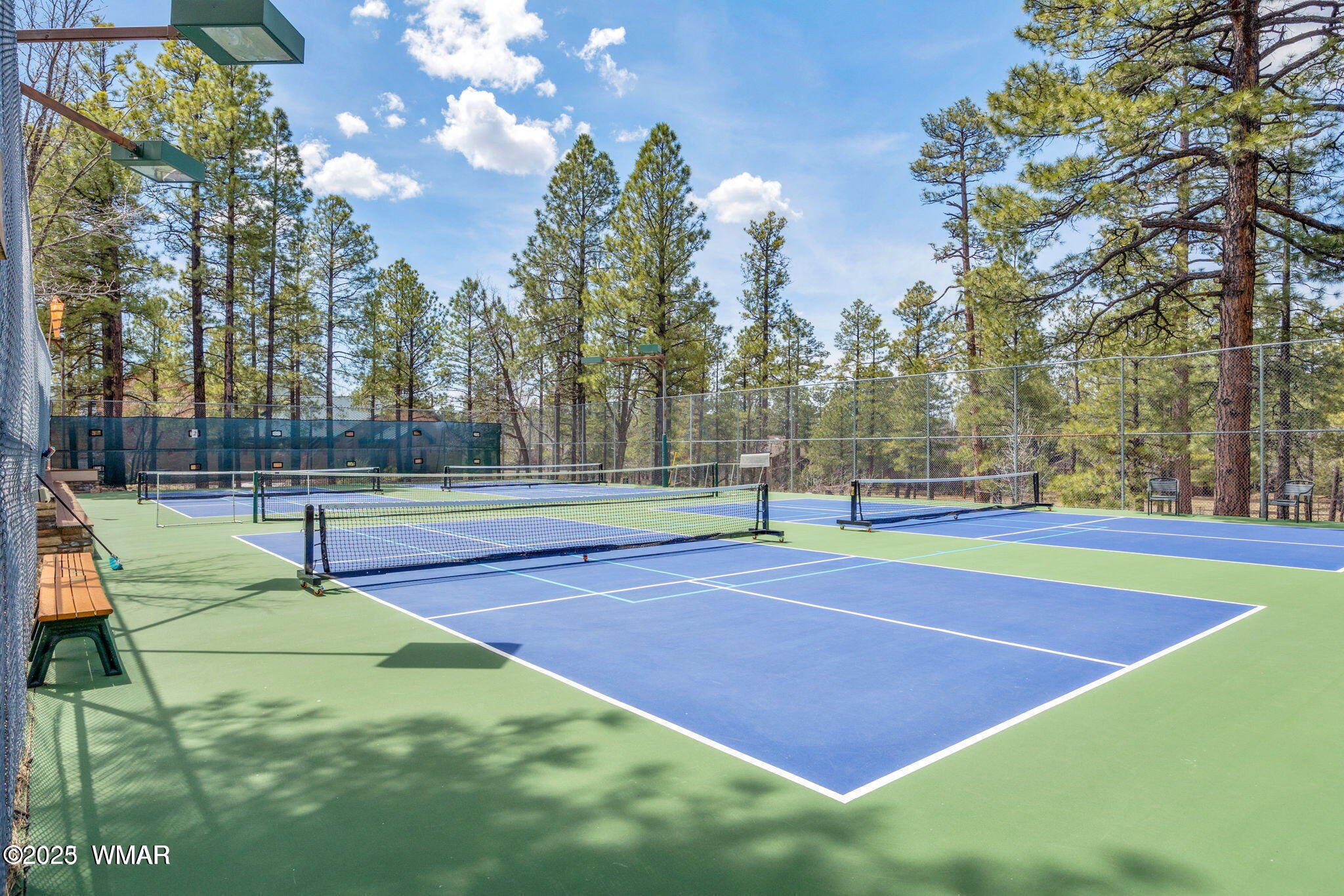 5220 South Blue Ridge Loop Pinetop, AZ 85935 - Photo 28 of 54 Pickle ball courts