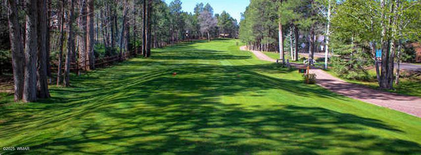 5220 South Blue Ridge Loop Pinetop, AZ 85935 - Photo 32 of 54 Pinetop Lakes Public Golf course