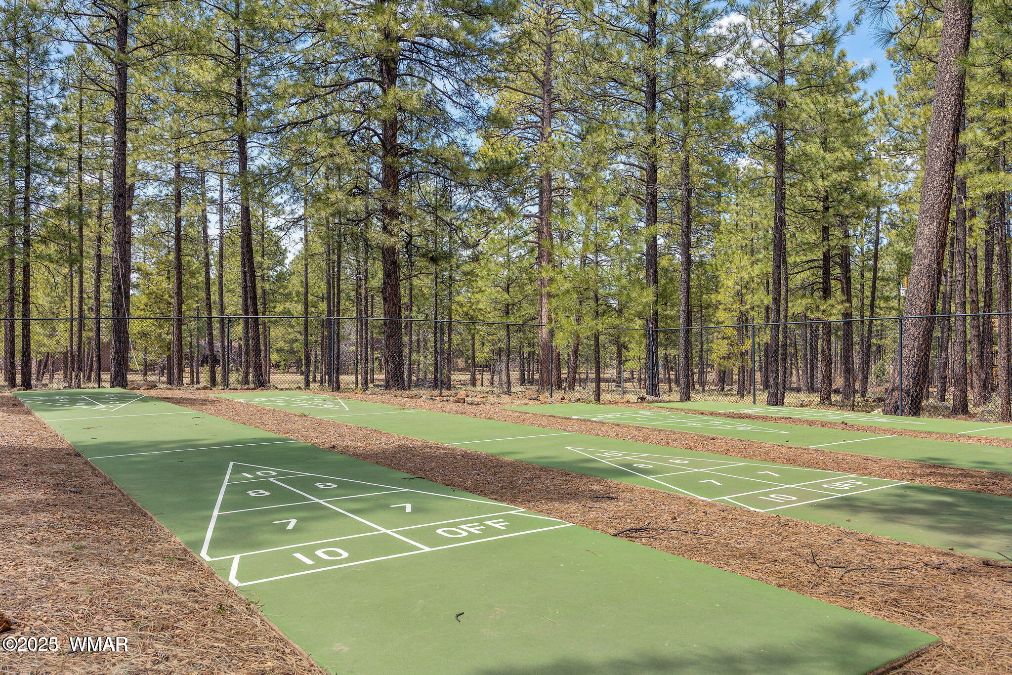 5220 South Blue Ridge Loop Pinetop, AZ 85935 - Photo 36 of 54 Shuffle board