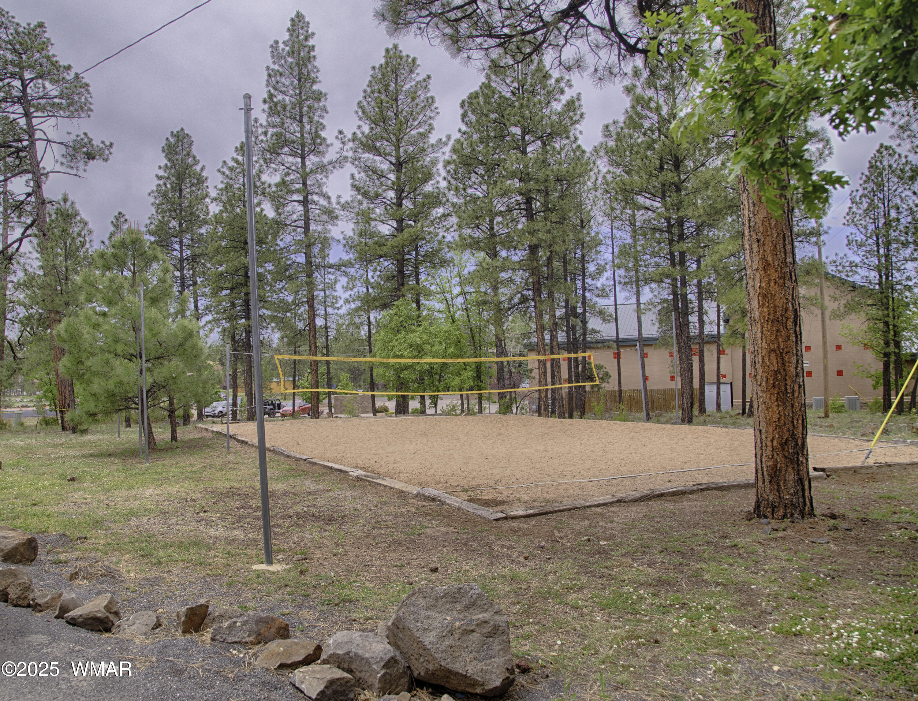 5220 South Blue Ridge Loop Pinetop, AZ 85935 - Photo 40 of 54 Volley Ball