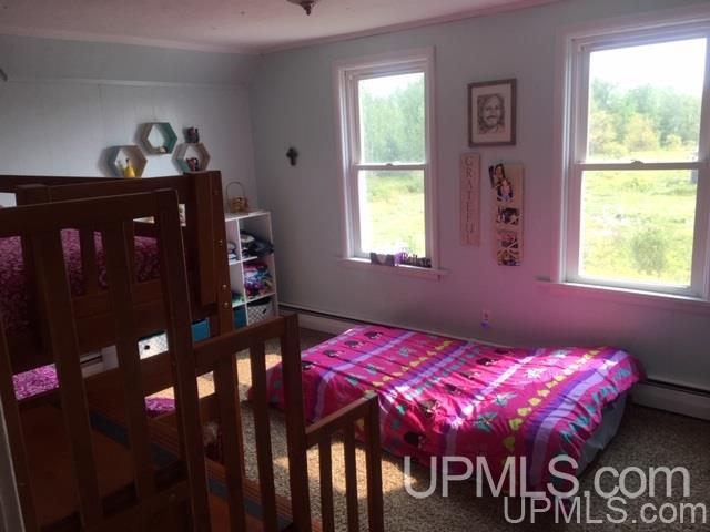 186 Town Line Road Skandia, MI 49885 - Photo 19 of 28 Gallery Image 19