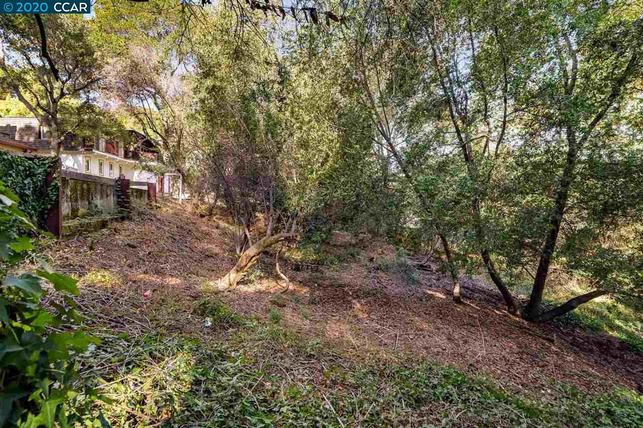 0 Oak Road Orinda, CA 94563 - Photo 1 of 1