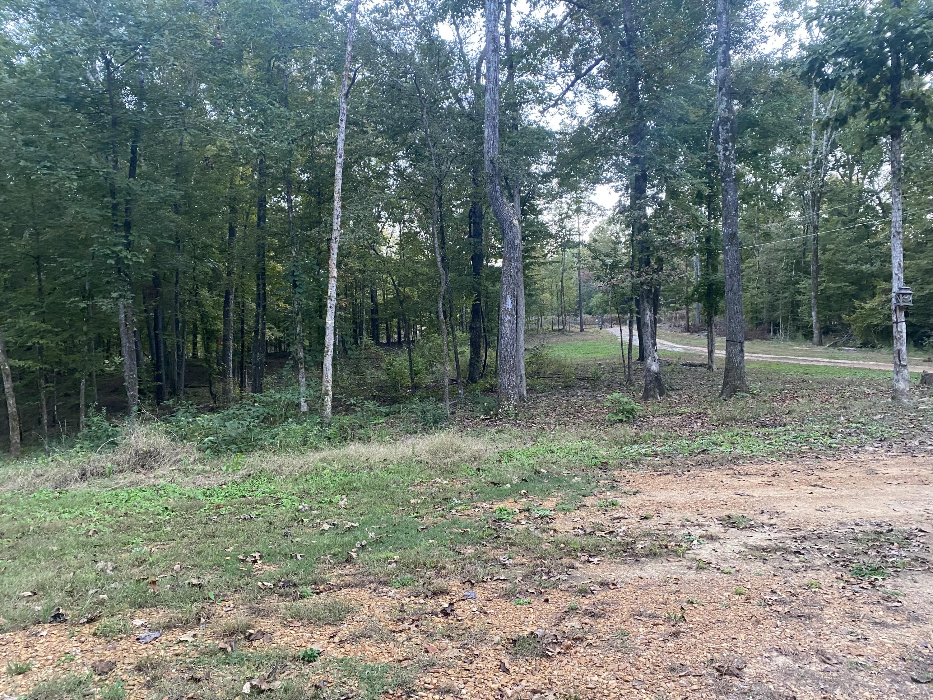 14540 Denman Road Byhalia, MS 38611 - Photo 2 of 15 14540 Denman